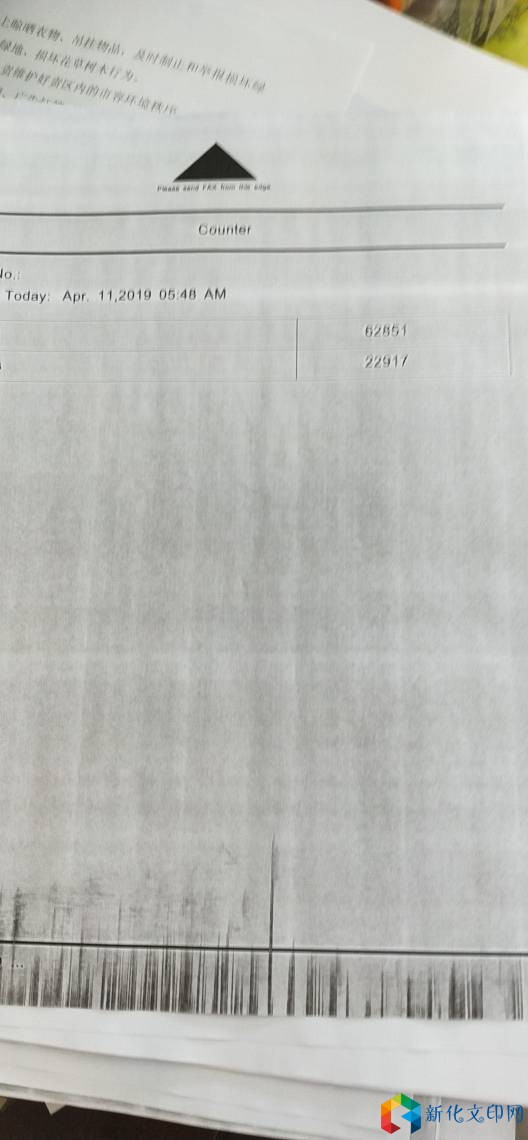 194519elmqqaqdzfdyastz.jpg