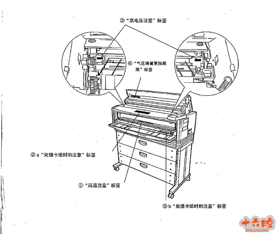 精工1010.jpg